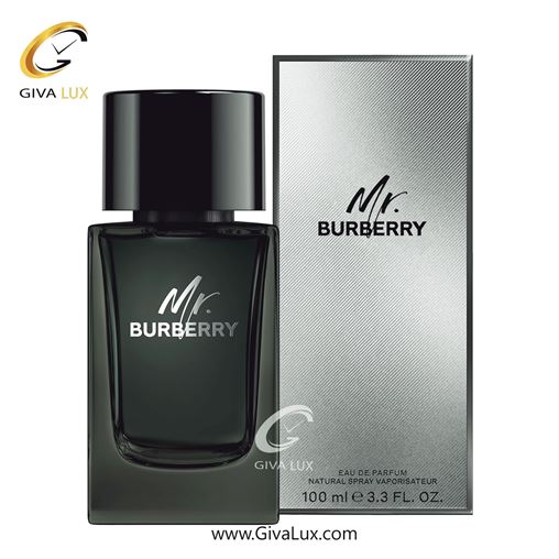  ادو پرفیوم  مردانه باربری اورجینال مدل Burberry Mr. Burberry | مستر باربری حجم  100 میل